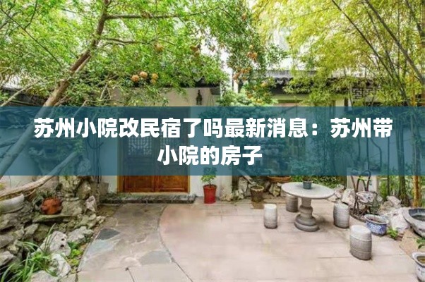 苏州小院改民宿了吗最新消息：苏州带小院的房子 