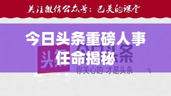 今日头条重磅人事任命揭秘