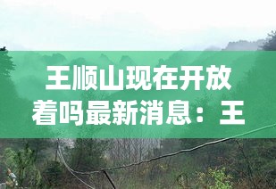 王顺山现在开放着吗最新消息：王顺山景区图片 