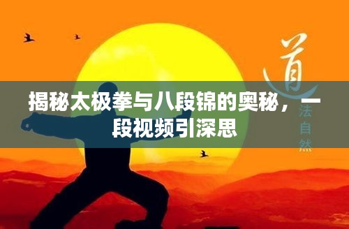 揭秘太极拳与八段锦的奥秘，一段视频引深思