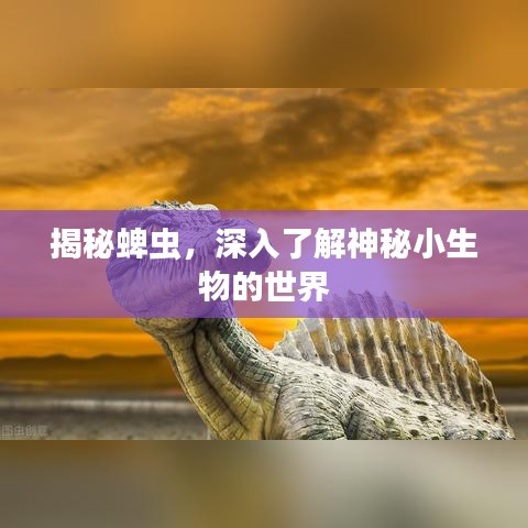 揭秘蜱虫，深入了解神秘小生物的世界