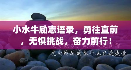 小水牛励志语录，勇往直前，无惧挑战，奋力前行！