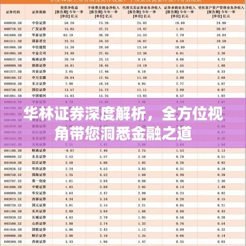 华林证券深度解析，全方位视角带您洞悉金融之道