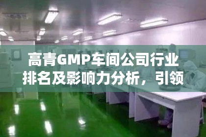 高青GMP车间公司行业排名及影响力分析，引领行业潮流，塑造卓越品质