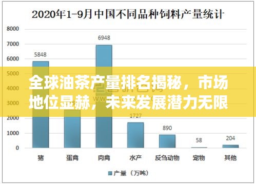 全球油茶产量排名揭秘，市场地位显赫，未来发展潜力无限！