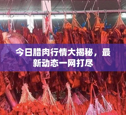 今日腊肉行情大揭秘，最新动态一网打尽