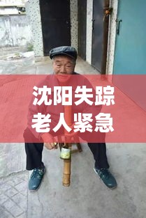 沈阳失踪老人紧急搜寻行动，家属心急如焚，警方全力展开调查