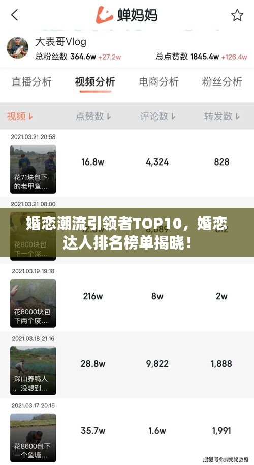 婚恋潮流引领者TOP10，婚恋达人排名榜单揭晓！