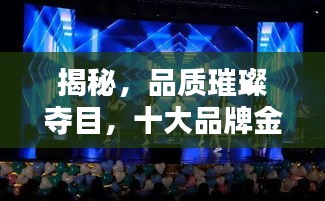 揭秘，品质璀璨夺目，十大品牌金榜排名揭晓！