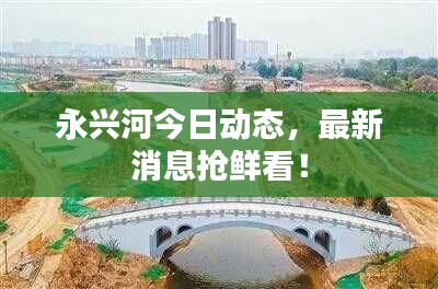 永兴河今日动态，最新消息抢鲜看！