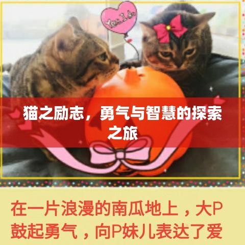 猫之励志，勇气与智慧的探索之旅