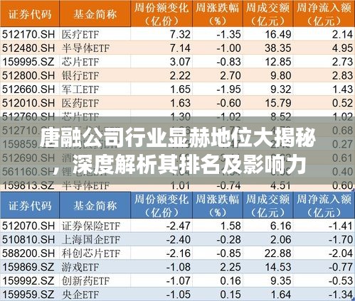 唐融公司行业显赫地位大揭秘，深度解析其排名及影响力