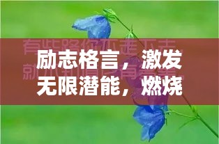 励志格言，激发无限潜能，燃烧生命的力量