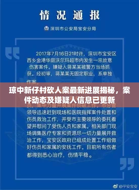 琼中新仔村砍人案最新进展揭秘，案件动态及嫌疑人信息已更新