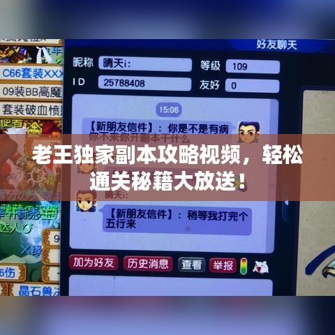 老王独家副本攻略视频，轻松通关秘籍大放送！