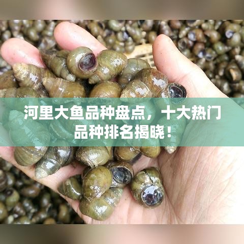 河里大鱼品种盘点，十大热门品种排名揭晓！