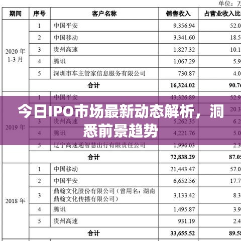 今日IPO市场最新动态解析，洞悉前景趋势