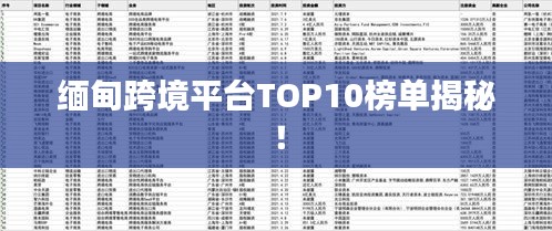 缅甸跨境平台TOP10榜单揭秘！