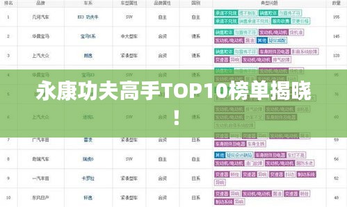 永康功夫高手TOP10榜单揭晓！