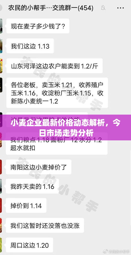 小麦企业最新价格动态解析，今日市场走势分析