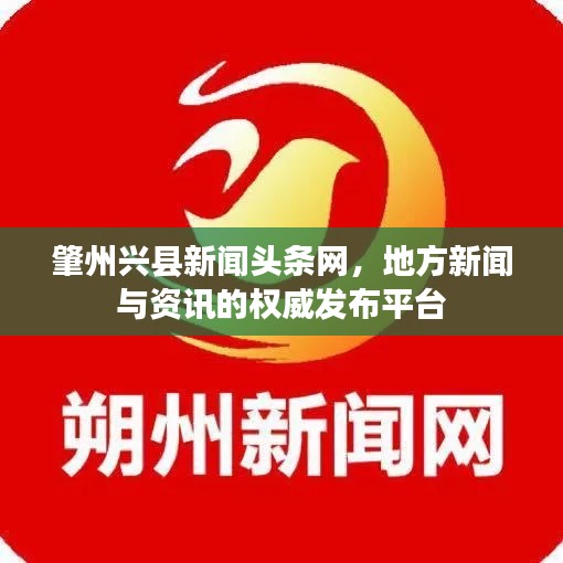 肇州兴县新闻头条网，地方新闻与资讯的权威发布平台