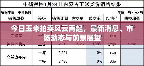 今日玉米拍卖风云再起，最新消息、市场动态与前景展望