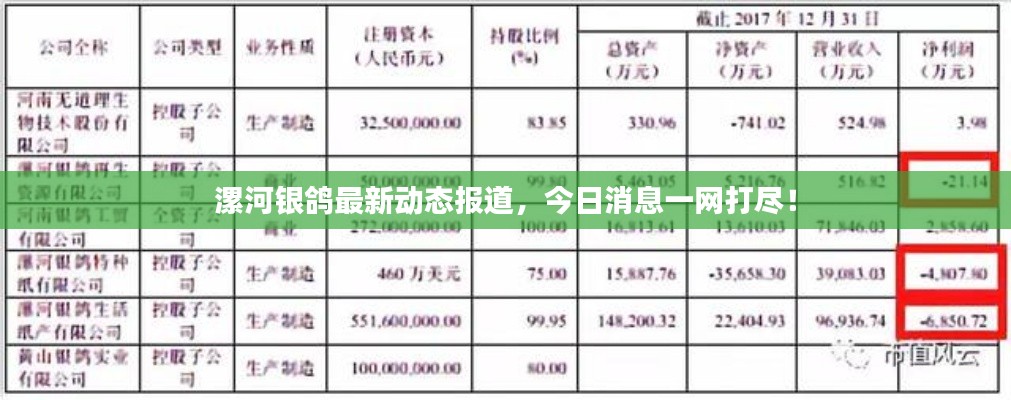 漯河银鸽最新动态报道，今日消息一网打尽！