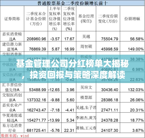 基金管理公司分红榜单大揭秘，投资回报与策略深度解读