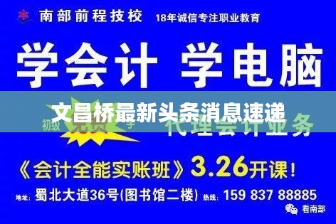 文昌桥最新头条消息速递