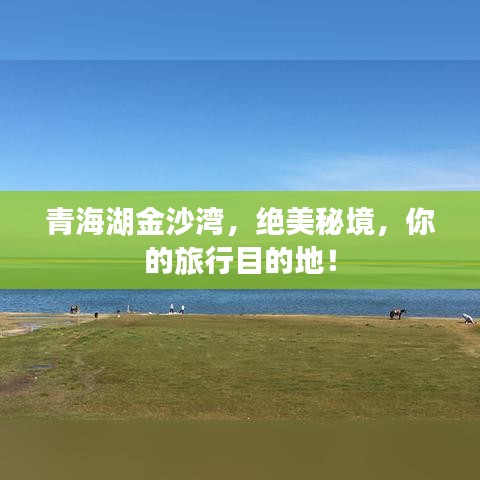 青海湖金沙湾，绝美秘境，你的旅行目的地！