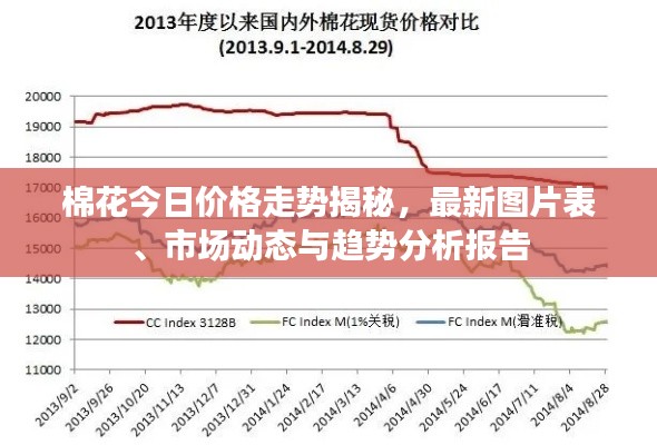 棉花今日价格走势揭秘，最新图片表、市场动态与趋势分析报告