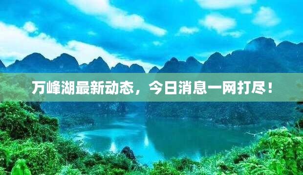 万峰湖最新动态，今日消息一网打尽！