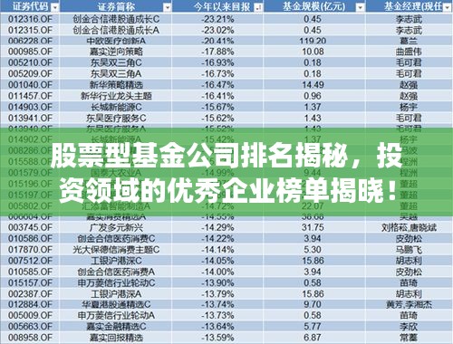 股票型基金公司排名揭秘，投资领域的优秀企业榜单揭晓！