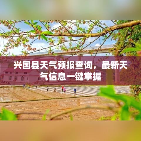 兴国县天气预报查询，最新天气信息一键掌握