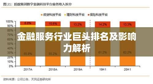 金融服务行业巨头排名及影响力解析