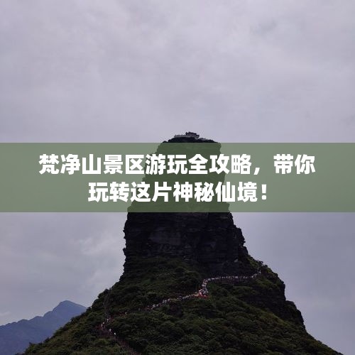 梵净山景区游玩全攻略，带你玩转这片神秘仙境！