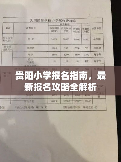 贵阳小学报名指南，最新报名攻略全解析