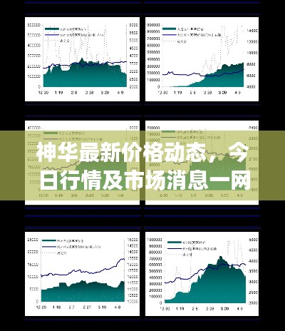 神华最新价格动态，今日行情及市场消息一网打尽