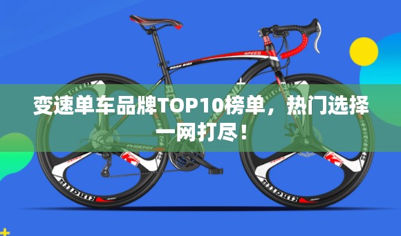 变速单车品牌TOP10榜单，热门选择一网打尽！