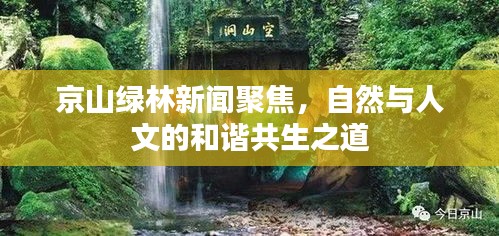 京山绿林新闻聚焦，自然与人文的和谐共生之道