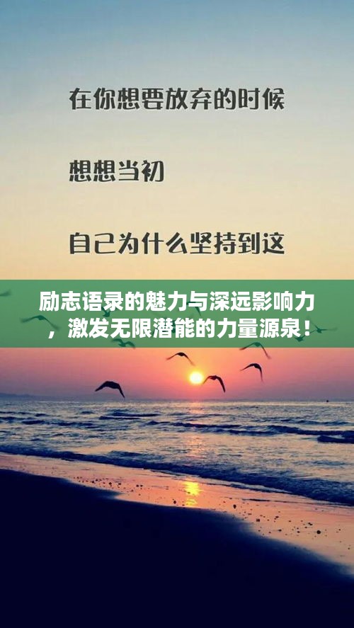 励志语录的魅力与深远影响力，激发无限潜能的力量源泉！