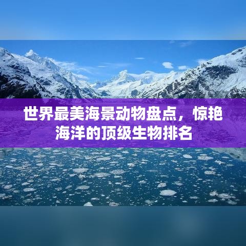 世界最美海景动物盘点，惊艳海洋的顶级生物排名