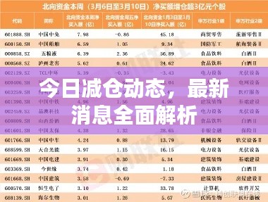 今日减仓动态，最新消息全面解析