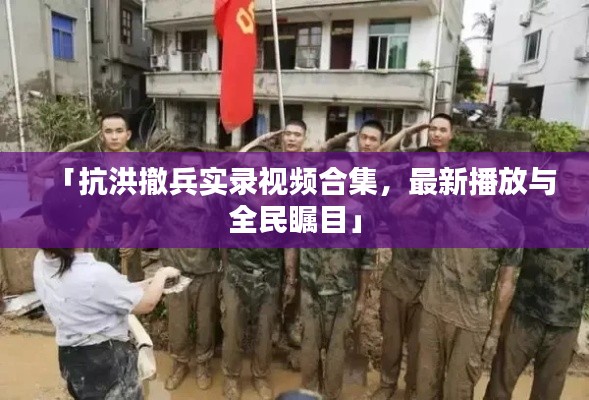 「抗洪撤兵实录视频合集，最新播放与全民瞩目」