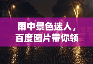 雨中景色迷人，百度图片带你领略独特韵味