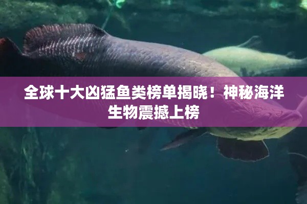 全球十大凶猛鱼类榜单揭晓！神秘海洋生物震撼上榜