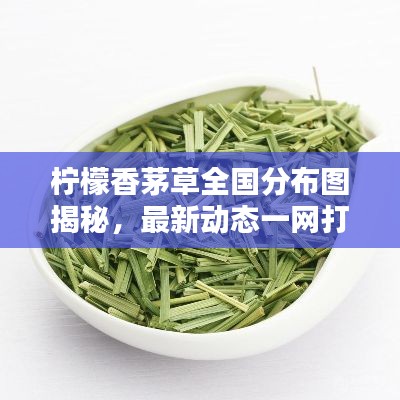 柠檬香茅草全国分布图揭秘，最新动态一网打尽！