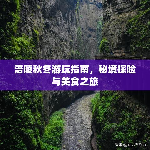 涪陵秋冬游玩指南，秘境探险与美食之旅