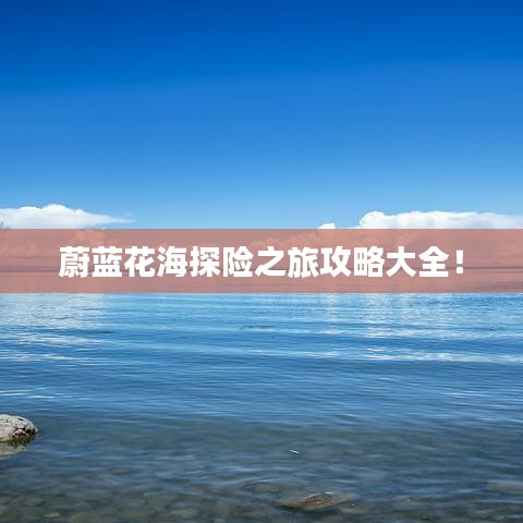 蔚蓝花海探险之旅攻略大全！