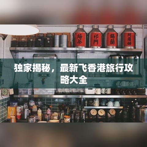 独家揭秘，最新飞香港旅行攻略大全